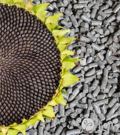 ШРОТ ПОДСОЛНЕЧНЫЙ